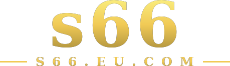s66 logo